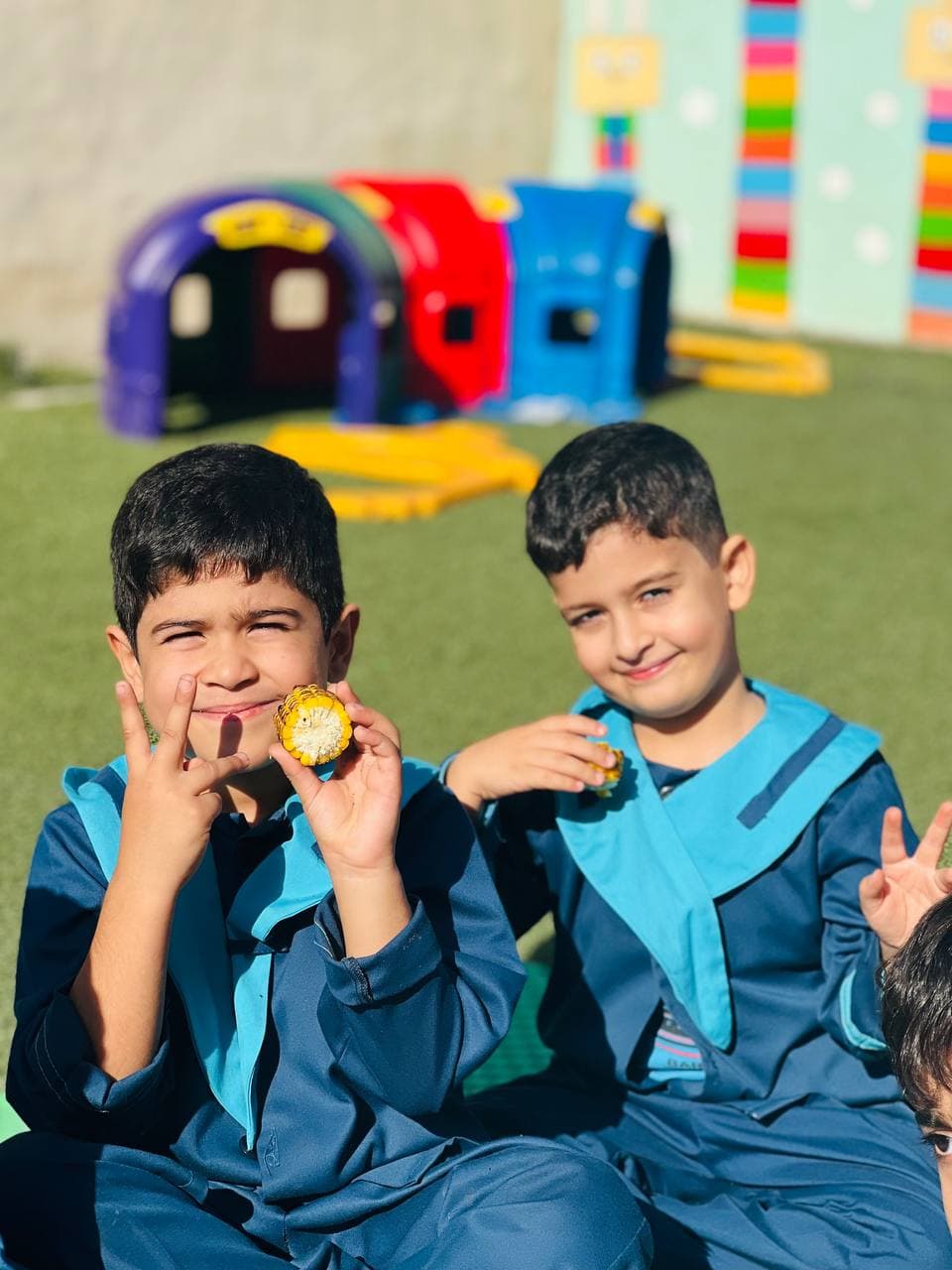 تصویر مقاله